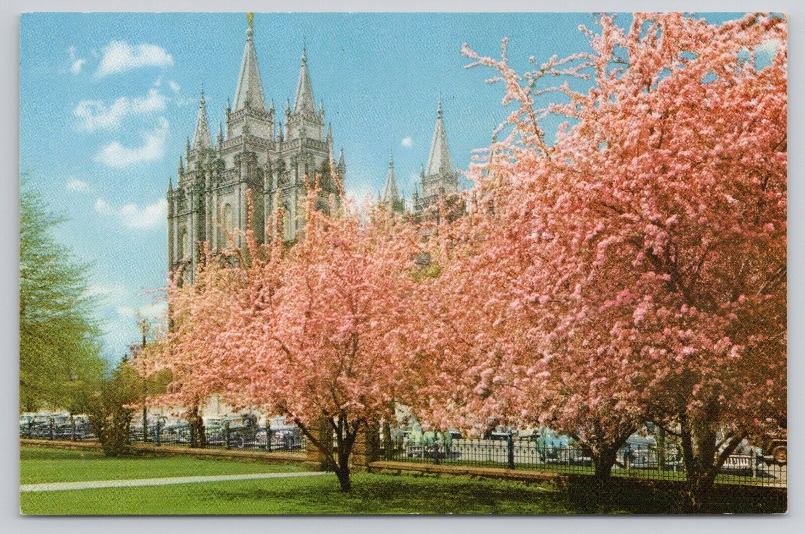 Mormon Temple Salt Lake City Utah Among Blossoming Pink Trees Postcard