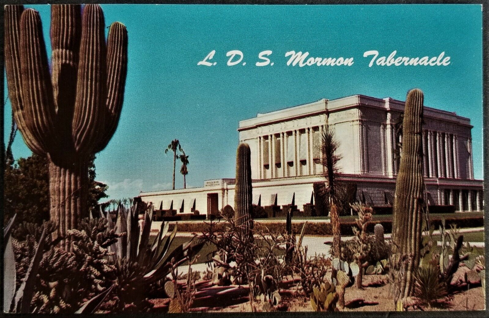 Lot, 2 Church: LDS (Latter Day Saints) Mormon Temple, Cactus, Mesa, AZ. Pre-1963