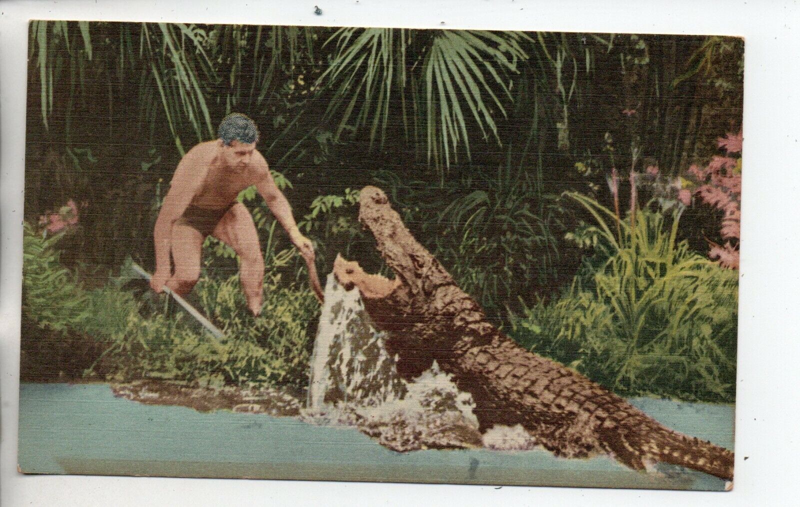 Advertising postcard for Ross Allen\'s Reptile Institute, Silver Springs, Florida