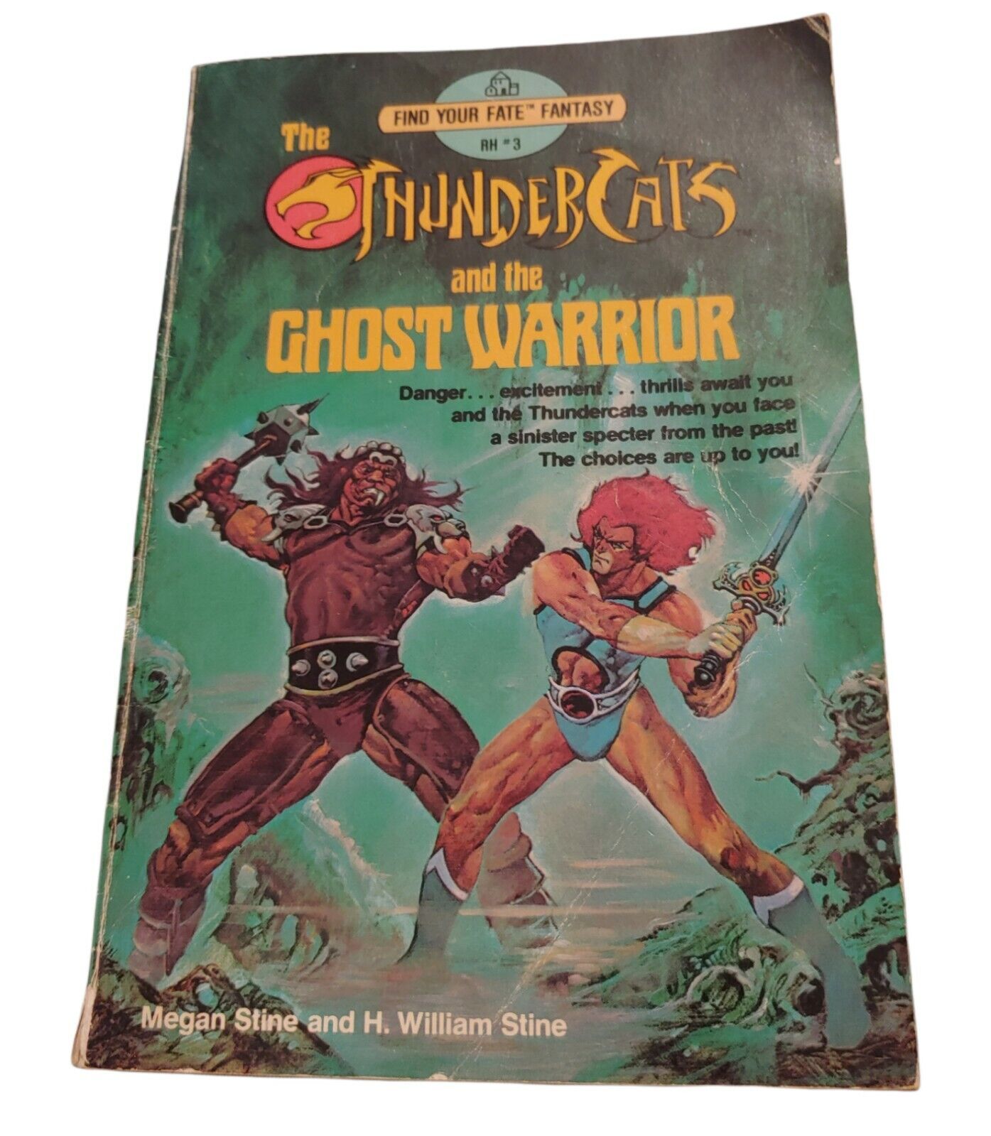 Thundercats & The Ghost Warrior book Find Your Fate RARE 80s Megan William Stine