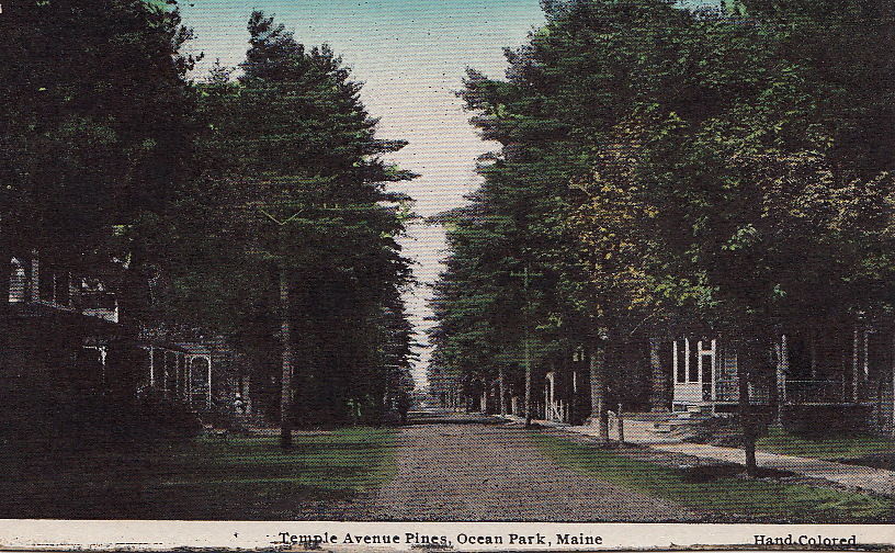Postcard Temple Avenue Pines Ocean Park Maine ME